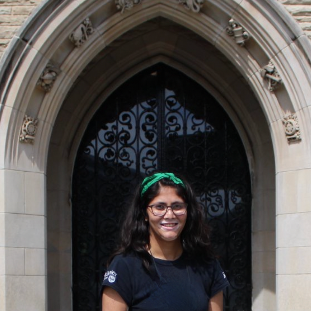 prachi-private-tutor-from-hamilton-ca-30-hr