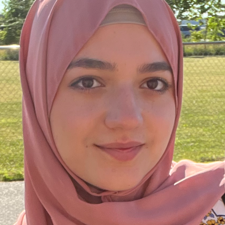 ashrakat-private-tutor-from-windsor-canada-25-hr